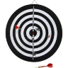 Tablă de Darts Dublă cu 6 Săgeți - Distracție și Competiție