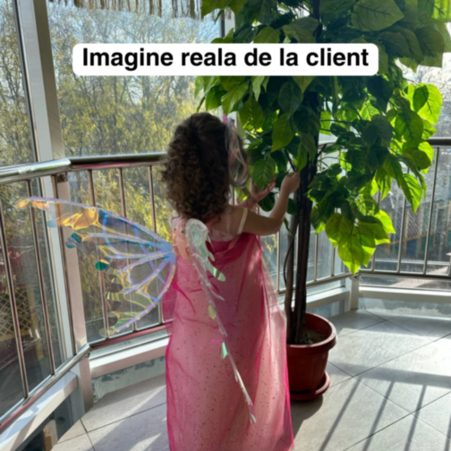 Aripi Magice Prințesă cu Efecte Luminiscente