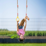 Inele Gimnastice pentru Copii – Distracție și Exerciții în Siguranță (culoare aleatorie)