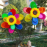Morisca Colorată Floare cu Petale Curcubeu 73cm
