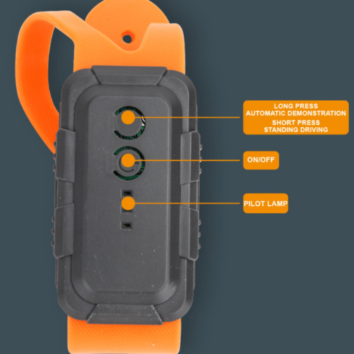 Mașinuță Stunt 360° cu Telecomandă și Ceas (culoare aleatorie) Mașinuță Stunt 360° cu Telecomandă și Ceas (culoare aleatorie)