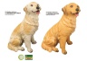 Golden Retriever Figurina Gigant