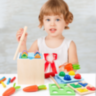 Cub Montessori Lemn 8 în 1 cu Legume și Pescuit