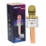 Microfon Karaoke Wireless USB cu Bluetooth și Boxă inclusă