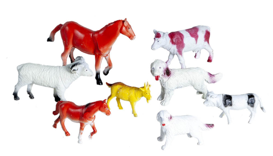 Set 8 Animale Domestice