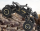 Mașinuță Rock Crawler Off-Road cu Telecomandă, Suspensie și Roți de Mari Dimensiuni | image
