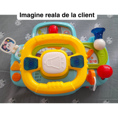 Volan Educațional pentru Copii cu Sunete și Lumini