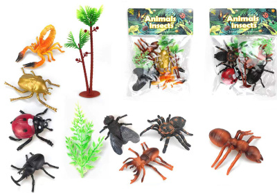 Set 4 Insecte | image