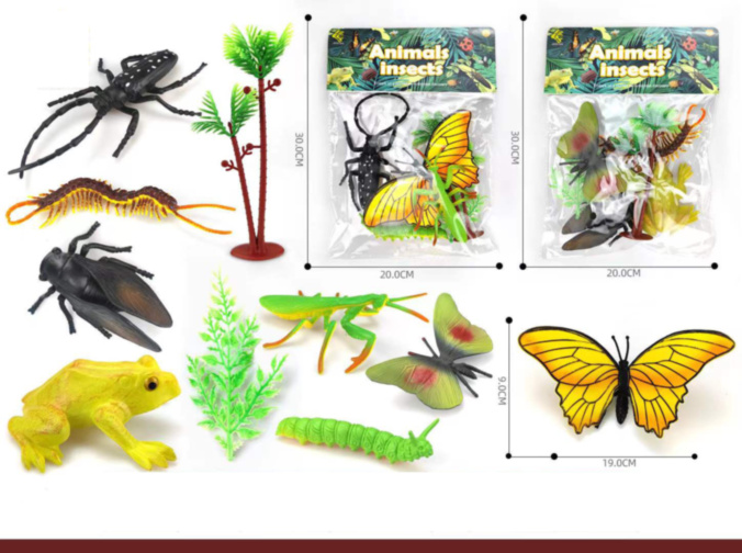 Set 4 Insecte 