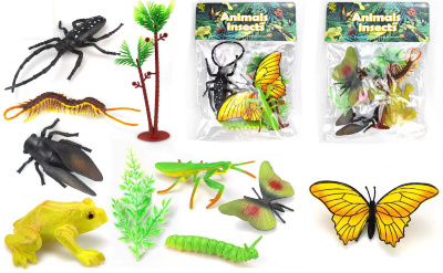 Set 4 Insecte | image