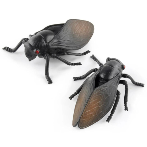 Set 6 insecte realiste din plastic – Modele aleatorii