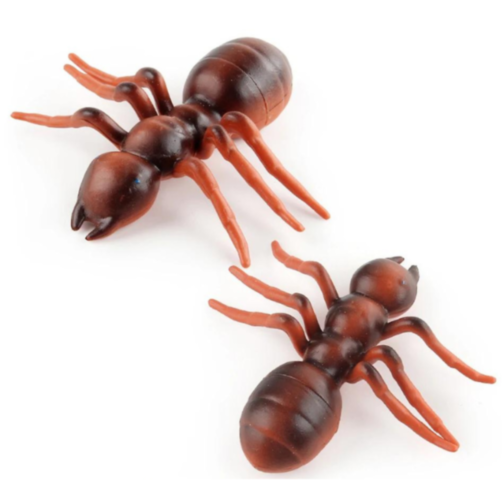 Set 6 insecte realiste din plastic – Modele aleatorii