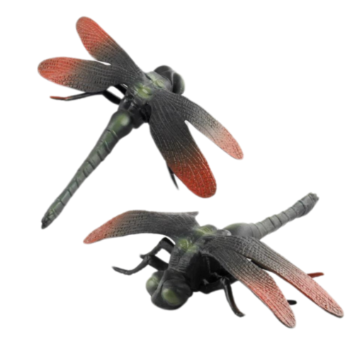 Set 6 insecte realiste din plastic – Modele aleatorii