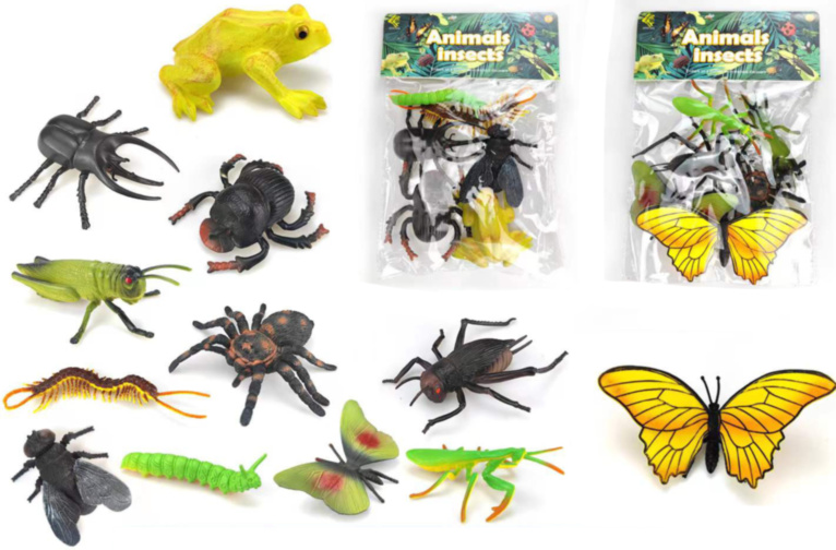 Set 6 Insecte