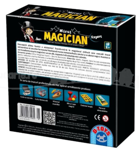 Micul Magician - Zarurile fermecate  joc
