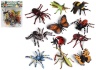 Mega Set 12 Insecte 