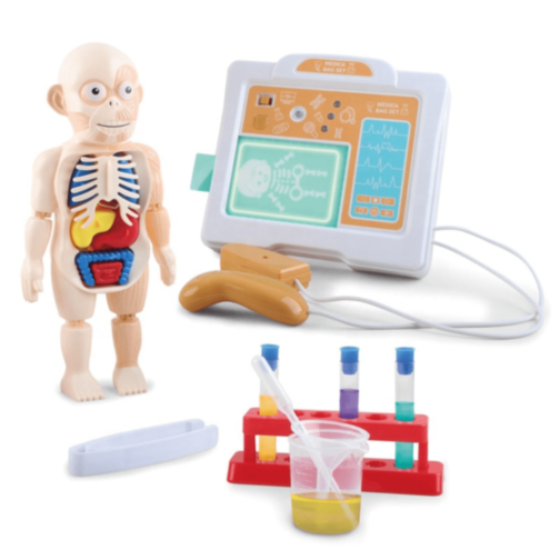 Set Educativ Anatomie Umană cu Organe și Laborator