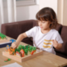 Joc Educativ Montessori din Lemn – Recolta de Morcovi cu Litere și Cifre