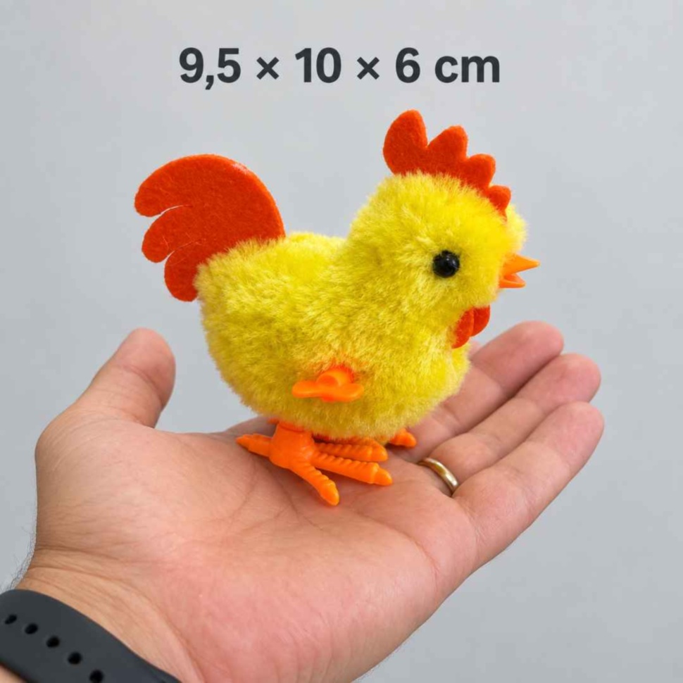 Cocoșelul galben în palma unui adult, cu dimensiunile de 9,5 × 10 × 6 cm