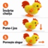 Cocoșel cu cheiță și înveliș pufos, fără baterii (24 display)