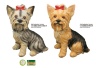 Yorkshire Terrier Figurina Gigant