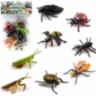 Set 8 Insecte