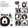 Set de 6 Cărți senzoriale Color & Black pentru bebeluși