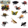 Mega Set 10 Insecte